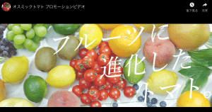オスミックトマトのプロモーション動画(一部抜粋)2