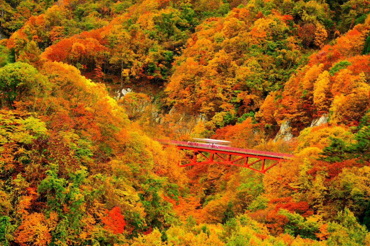 松川渓谷の紅葉写真